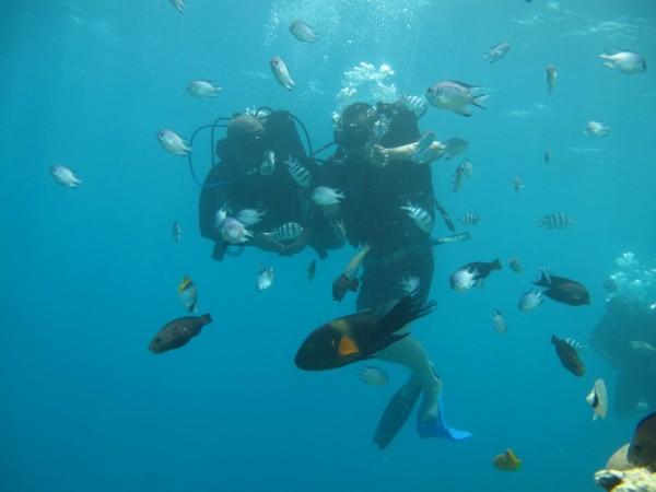 近900万桶的石油运输推迟！红海危机已祸及能源市场