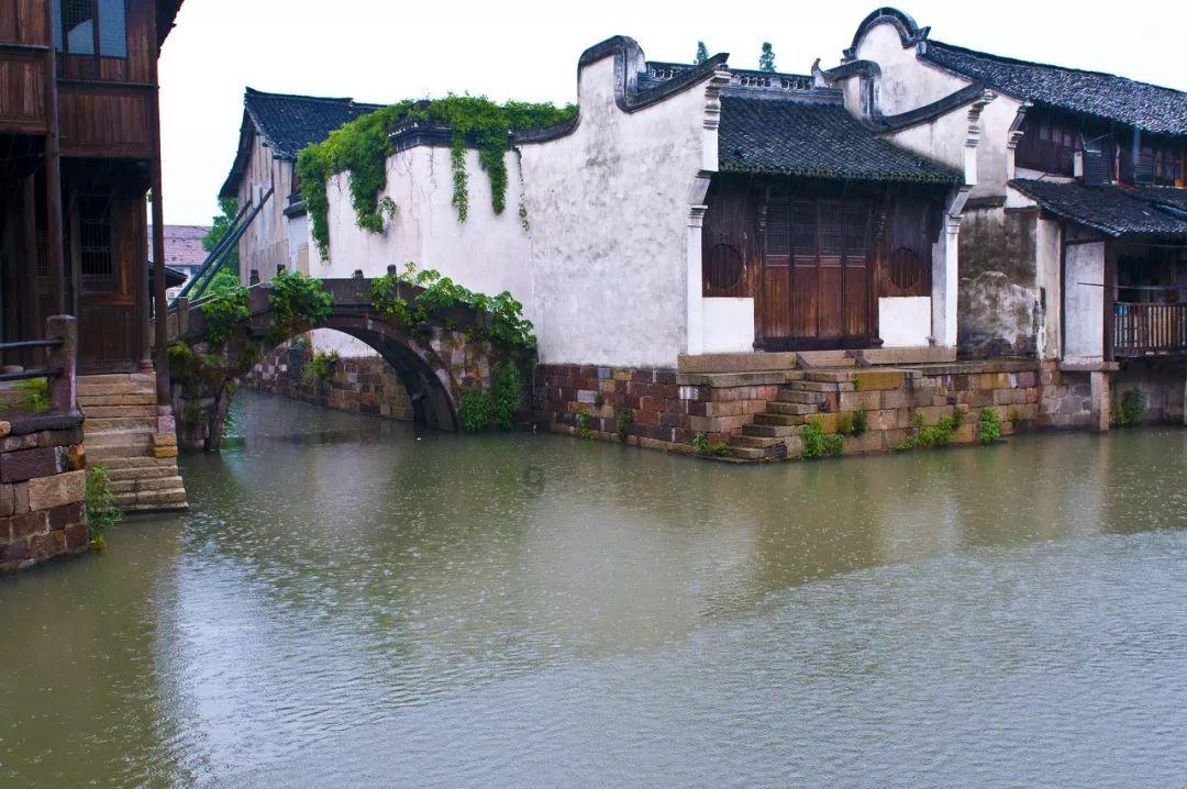 拯救科学家